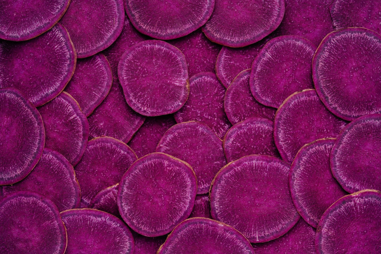 Single-Origin Kinampay Ube Powder (100g) - Pre Order Only Ships July 22