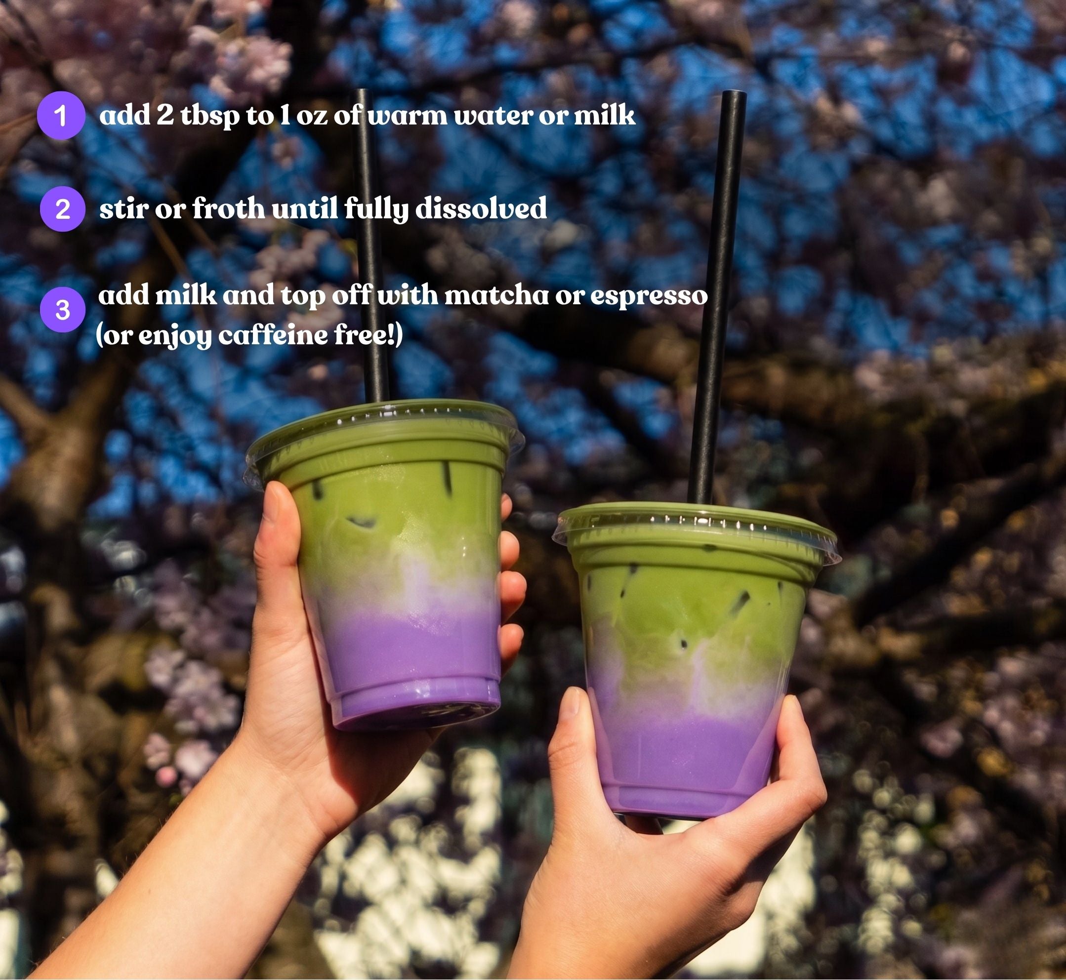 Sugar Free Ube Latte (Limited Drop)