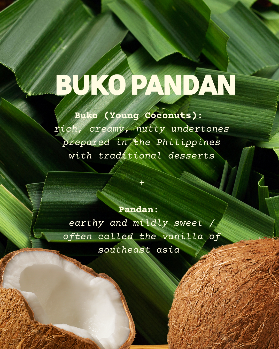 Buko Pandan Syrup